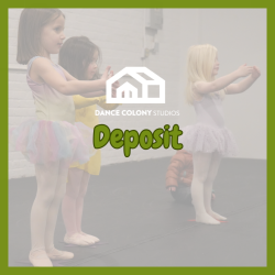 Deposit for Recreational Classes