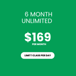 6 Month Unlimited ($169/month)