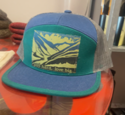 Blue/Green Recap (Green/Blue PHLB Logo)