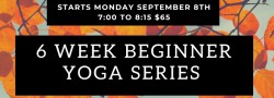 6 Week Beginner Yoga Series