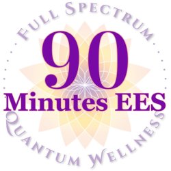 90 Minute EESystem