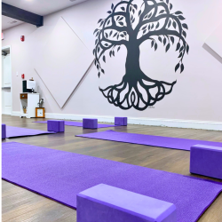 Flash Sale: 20 Class Yoga Package