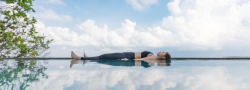 SPECIAL EVENT - Yoga Nidra with Sue - Aug 15th 2025