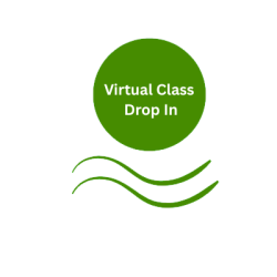 Virtual Class Drop In