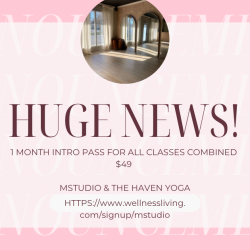 one month intro pass