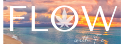 Elevated Yoga with Fe