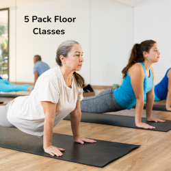 Non- Member 5  Pack Floor Classes