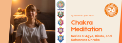 ONLINE Meditation Course: CHAKRA Meditation Series 3 - Agya, Binud and Sahasrara Chakra