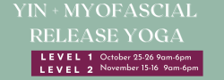 Level 1 + 2 Yin & Myofacial Release Yoga Teacher Training (40 Hours)