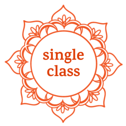 Single Class/Drop in