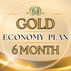GOLD Economy Plan | 6 Month (4 sessions)