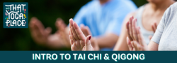 Intro to Tai Chi and Qi Gong