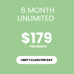 6 Month Unlimited ($179/month)