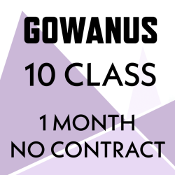 1 Month NO COMMITMENT: 10 Class (POLE/AERIAL) Package **EXPIRES 1 MONTH AFTER SALE**