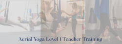 Aerial Yoga Teacher Training- L1
