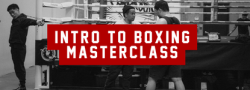 Intro to Boxing Masterclass Series