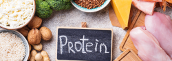 September Workshop- Why We Need Protein