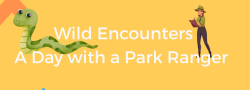 Wild Encounters: A Day with a Park Ranger!