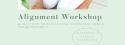 Alignment - A deep dive into effective construction of yoga postures