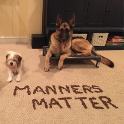 Manners Matter Silver