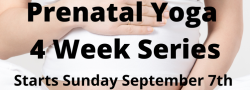 Prenatal 4 Week Yoga Series
