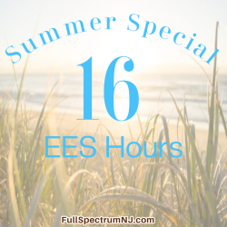 Summer Special 16 EESystem hours