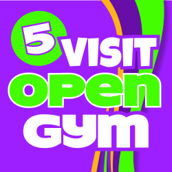 Open Gym/Clinic (5 Visits)
