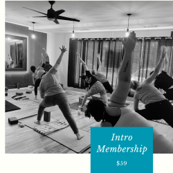Intro Membership