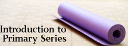 Introduction to Primary Series