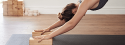Rooted in Tradition: A 3-Hour Hatha Yoga Immersion