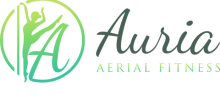 Auria Aerial Fitness