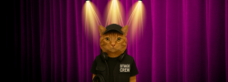 Stage Crew