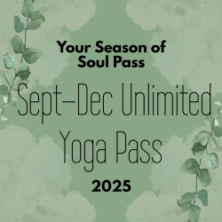 Season of Soul Pass (Installments)