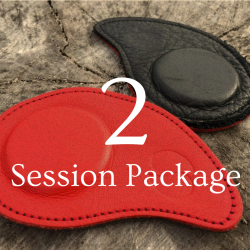 Biomagnetism Pass: Two Sessions