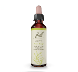 Bach Flower Remedies: Olive "Restore Energy"