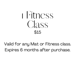 1 Fitness Class