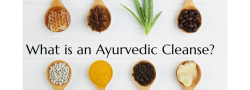 What's an Ayurvedic Cleanse?
