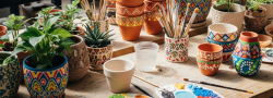 Plant, Paint & Propagate