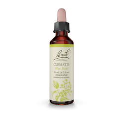 Bach Flower Remedies: Clematis "Have Focus"