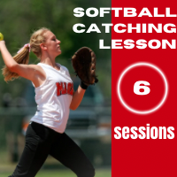Softball Hitting Lesson - 6 Session Package