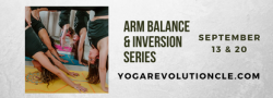 Arm Balance & Inversion Workshop