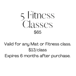 5 Fitness Classes