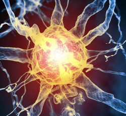 The Hormone Metabolism and Methylation DNA Panel