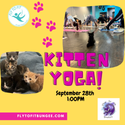 Kitten Yoga 9/28 @1pm