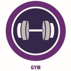 Bronze Gym Class Membership