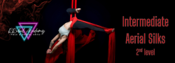 Silks - Intermediate (2nd Level)