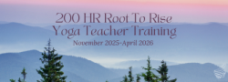 200 Hour "Root to Rise" Fall 2025 to Spring 2026 Yoga Teacher Training