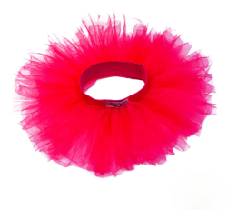 Ready Set Ballet Tutu