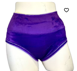 Velvet Pole Shorts (High Waited)