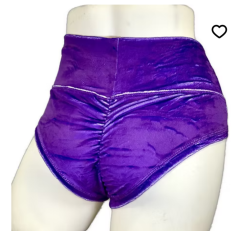 Velvet Pole Shorts (High Waited)